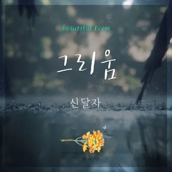 그리움 관련 시 모음 100선_21