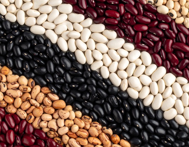 건강기능성 약콩 종류