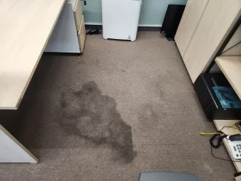 카펫 얼룩 탄산수 분무 후 흡수하는 페트병 롤러 팁_8