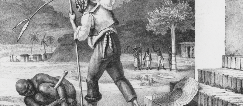 노예제와 인종차별 역사 왜곡