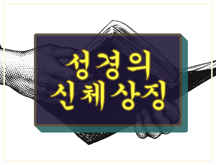 성경의 신체상징 손가락