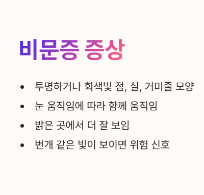 비문증 증상