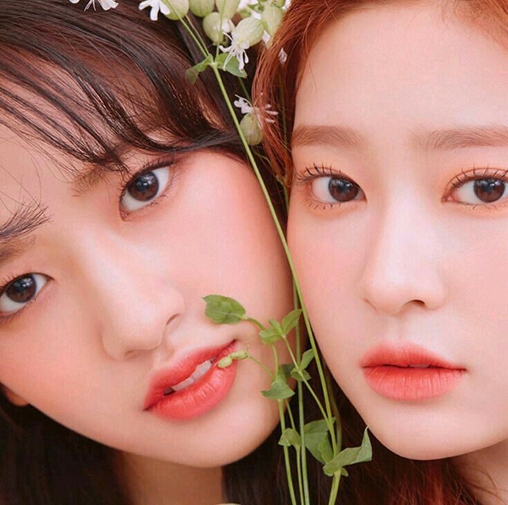 아이즈원 프로듀스48 사진 모음 아이즈원 프로듀스48 사진 모음