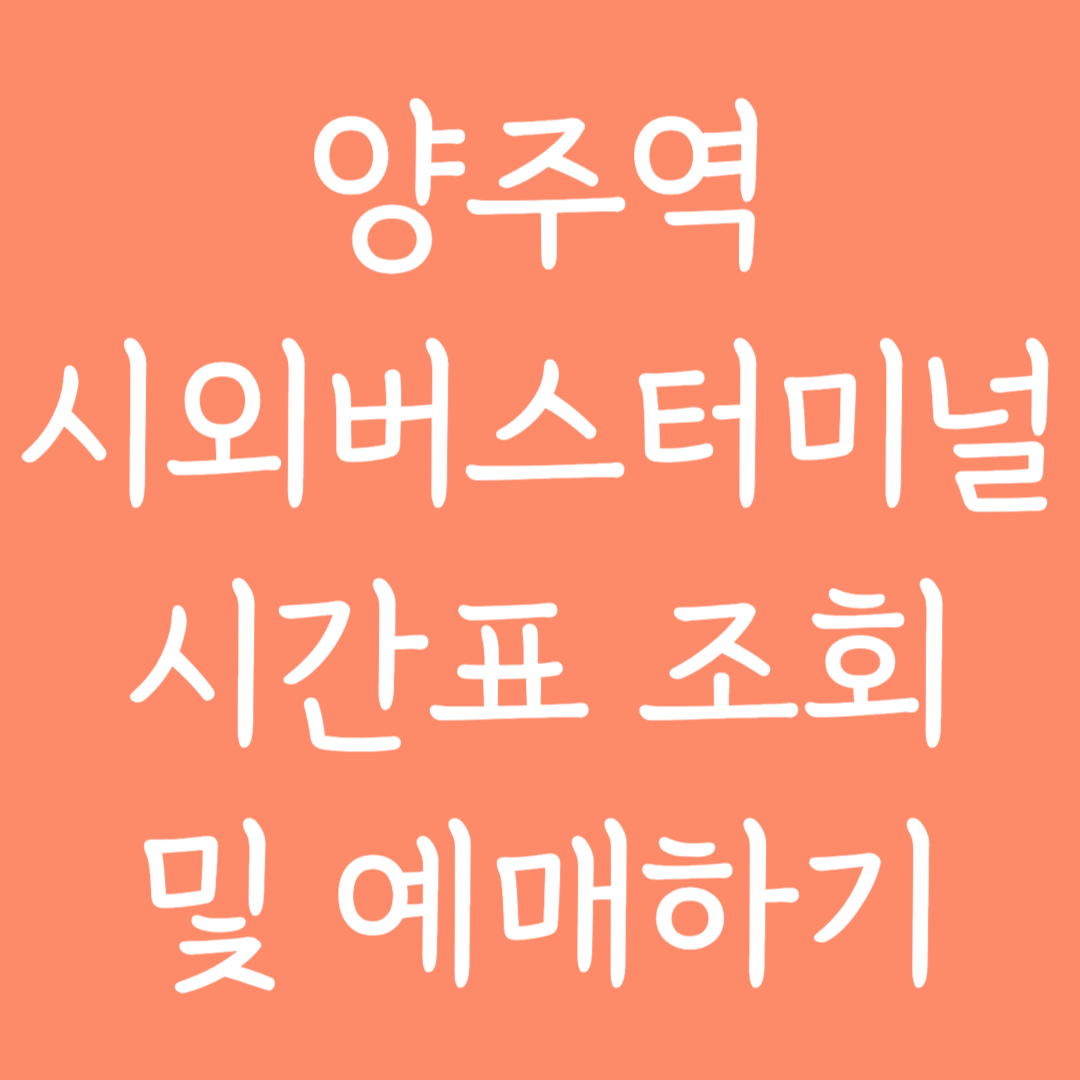 양주역 시외버스터미널 시간표조회 및 예매하기
