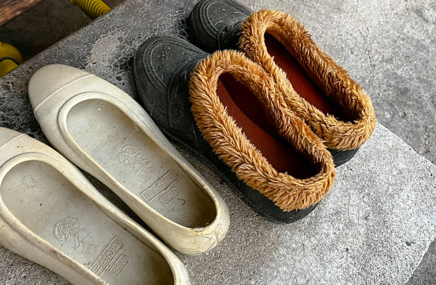 천황식당 내부모습