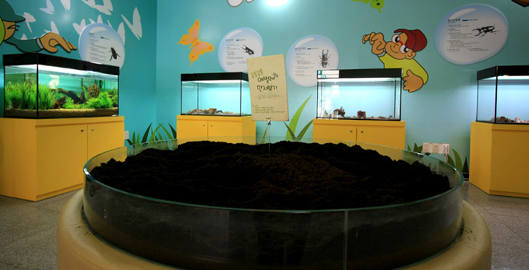 양평 곤충박물관