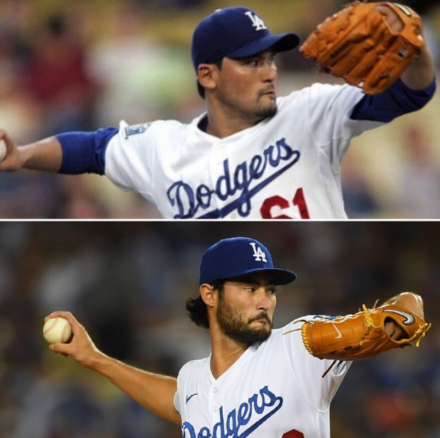 미치 화이트 박찬호