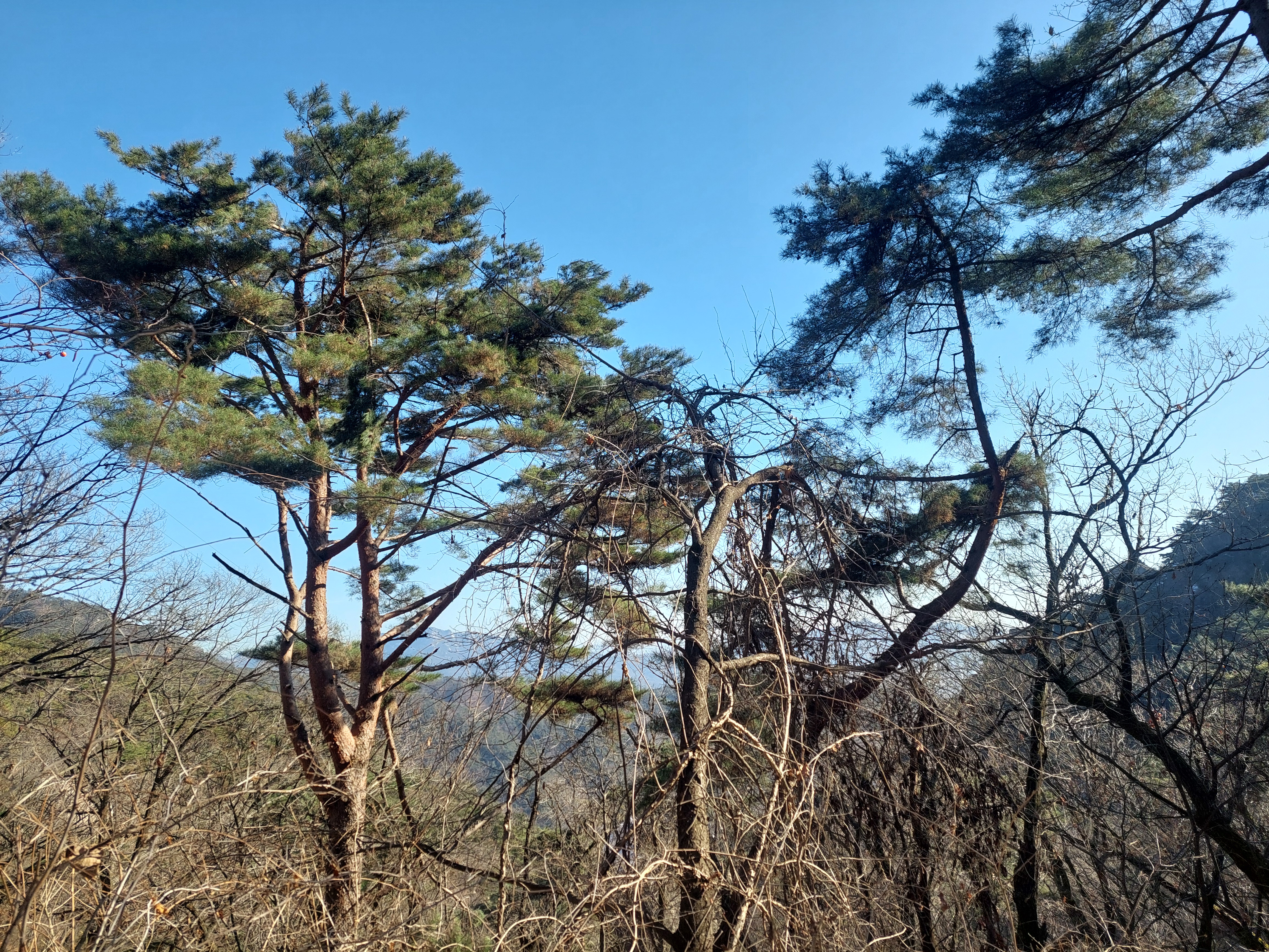 북한산 영봉