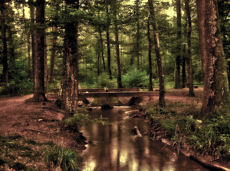 정신적 vs 디지털 디톡스의 방법 차이점