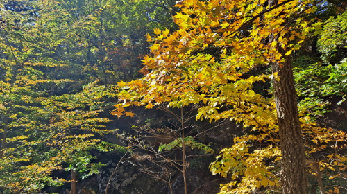 설악산_단풍여행_총정리