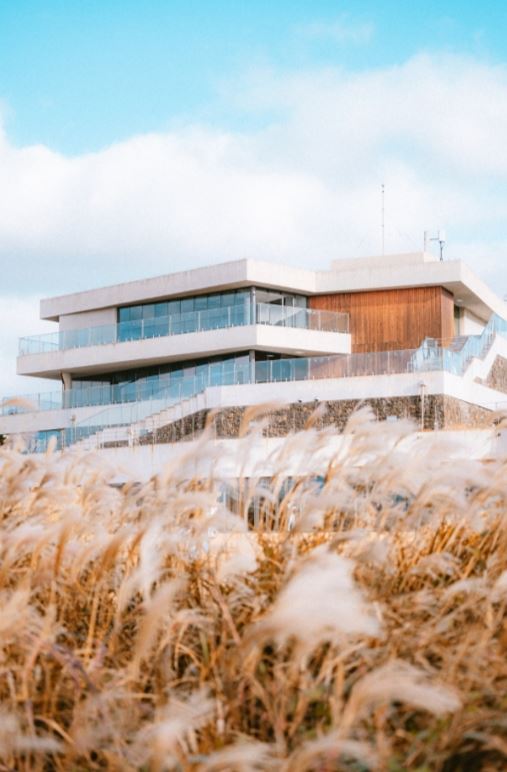 출처 : 대한민국 구석구석 축제 억새 바당 즐길거리