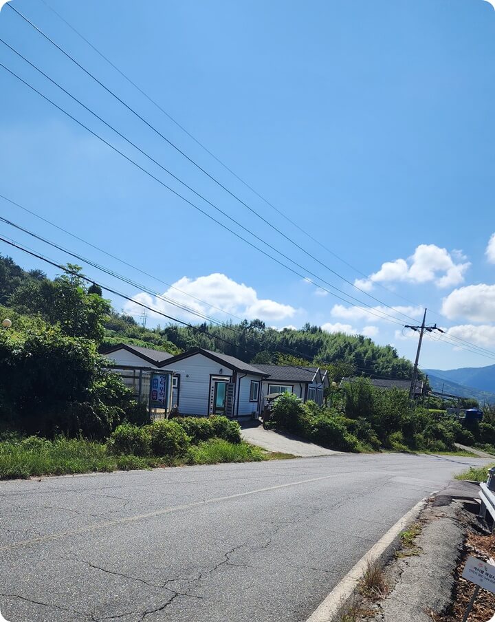 도로의 왼쪽에 있는 집들