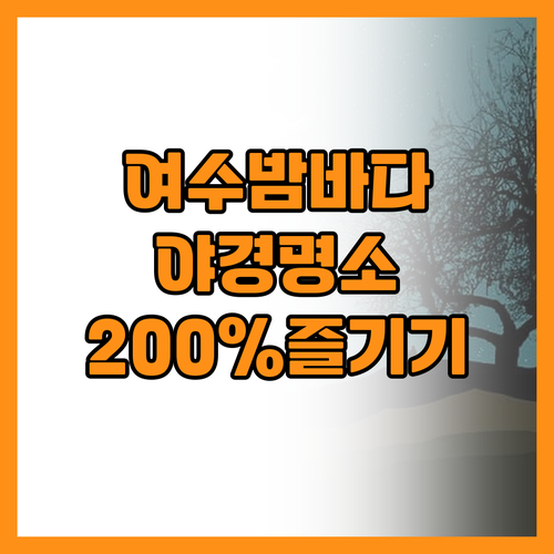 여수 밤바다 낭만을 200퍼센트 즐기..