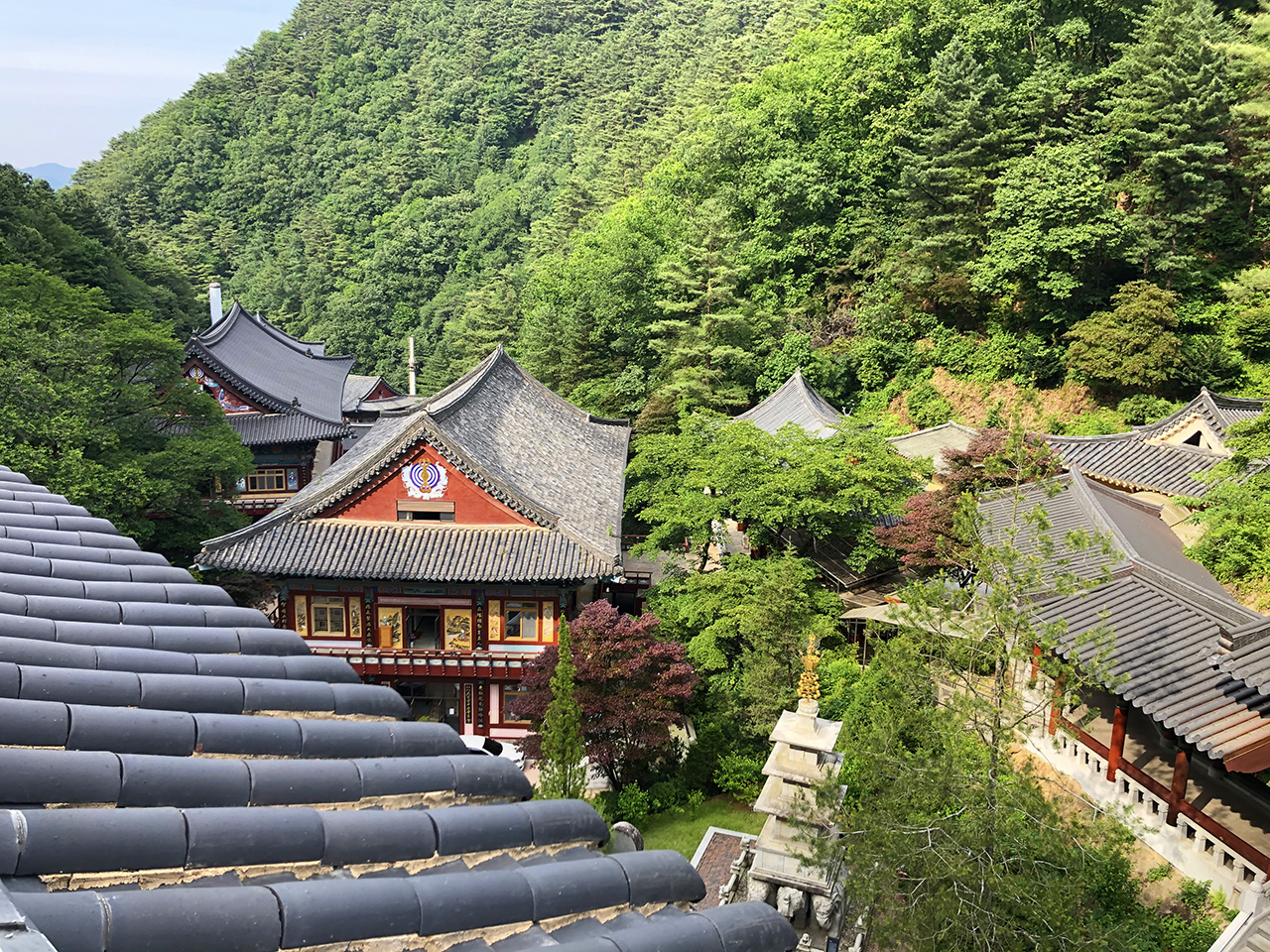 구인사 경치