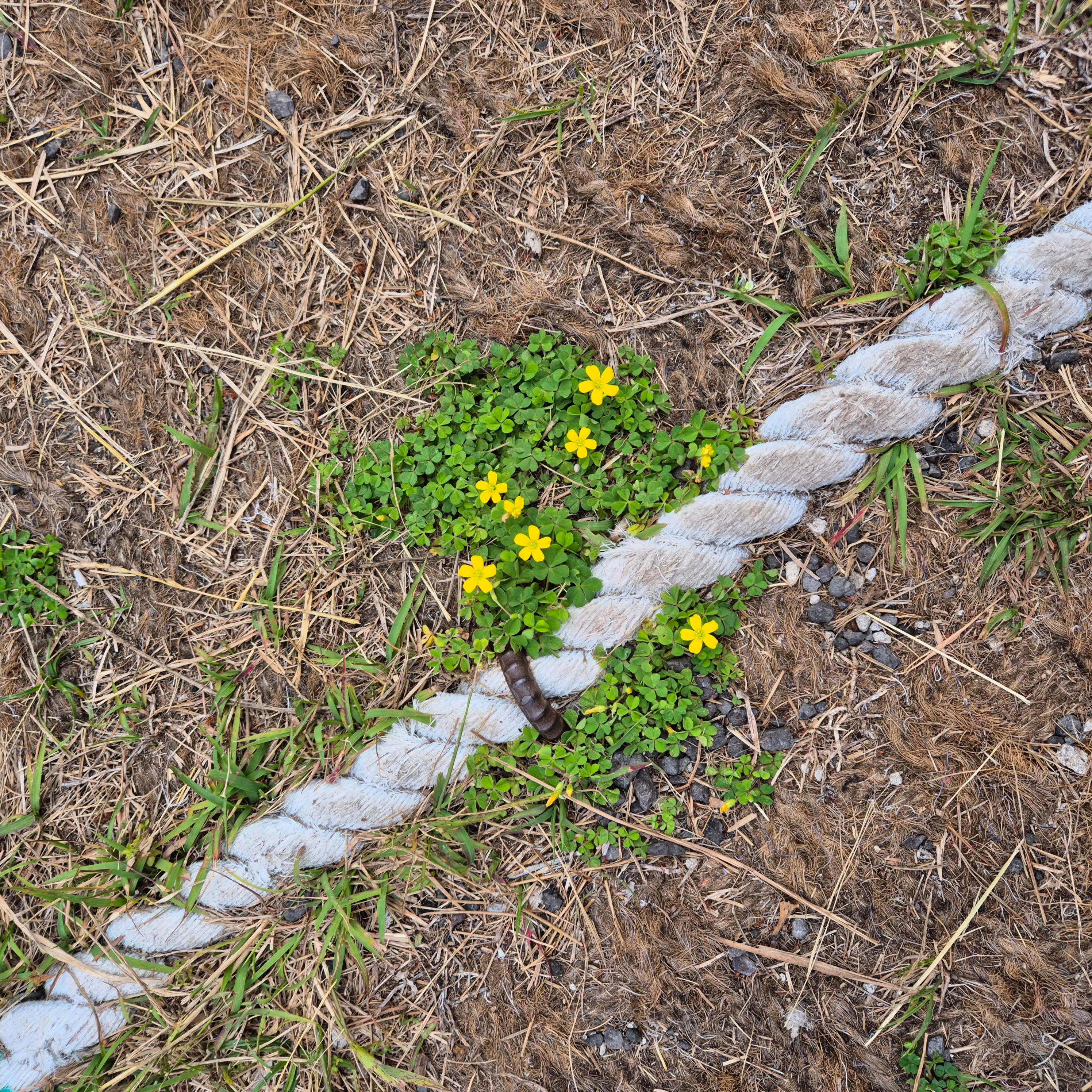 올레길 21코스&amp;#44; 제주올레 21코스&amp;#44; 지미봉&amp;#44; 종달리&amp;#44; 하도해녀박물관&amp;#44; 제주올레길&amp;#44; 종달바당&amp;#44; 제주여행코스&amp;#44; 올레길후기&amp;#44; 제주동부여행