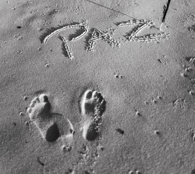 포스텔러 만세력 보는법, 해석 방법, 풀이 가이드