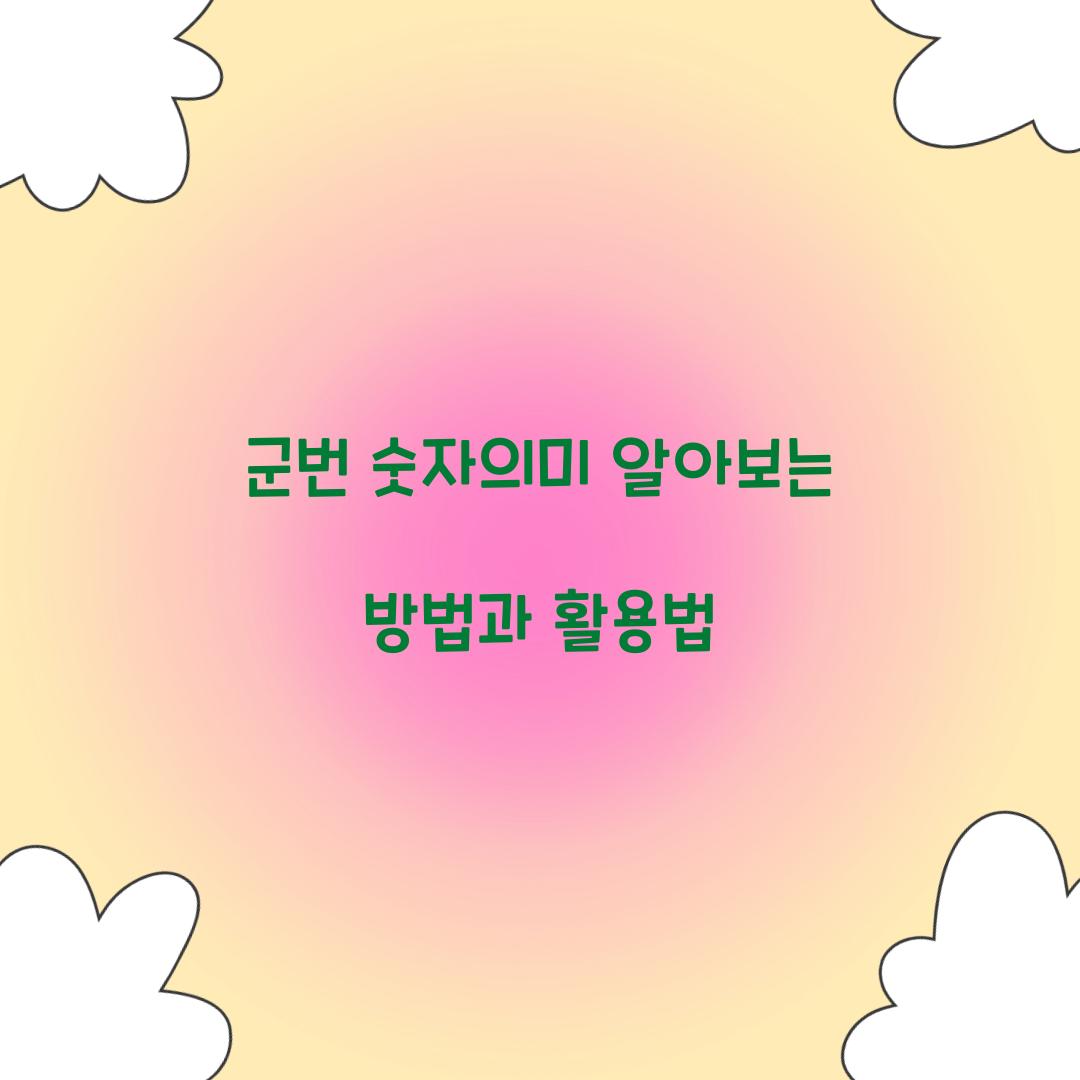 군번 숫자의미