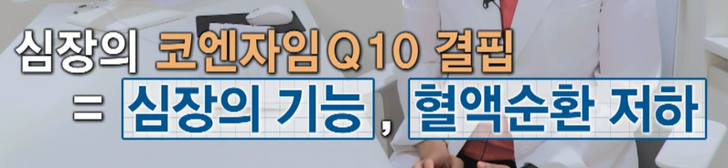 코엔자임큐텐의 효능