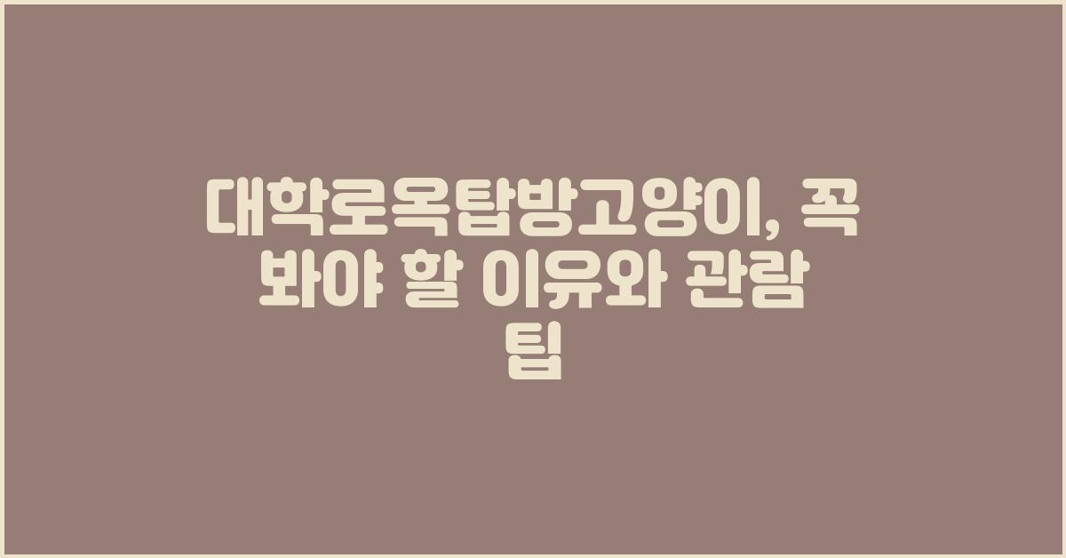 대학로옥탑방고양이