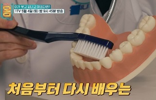 다시배우는양치질