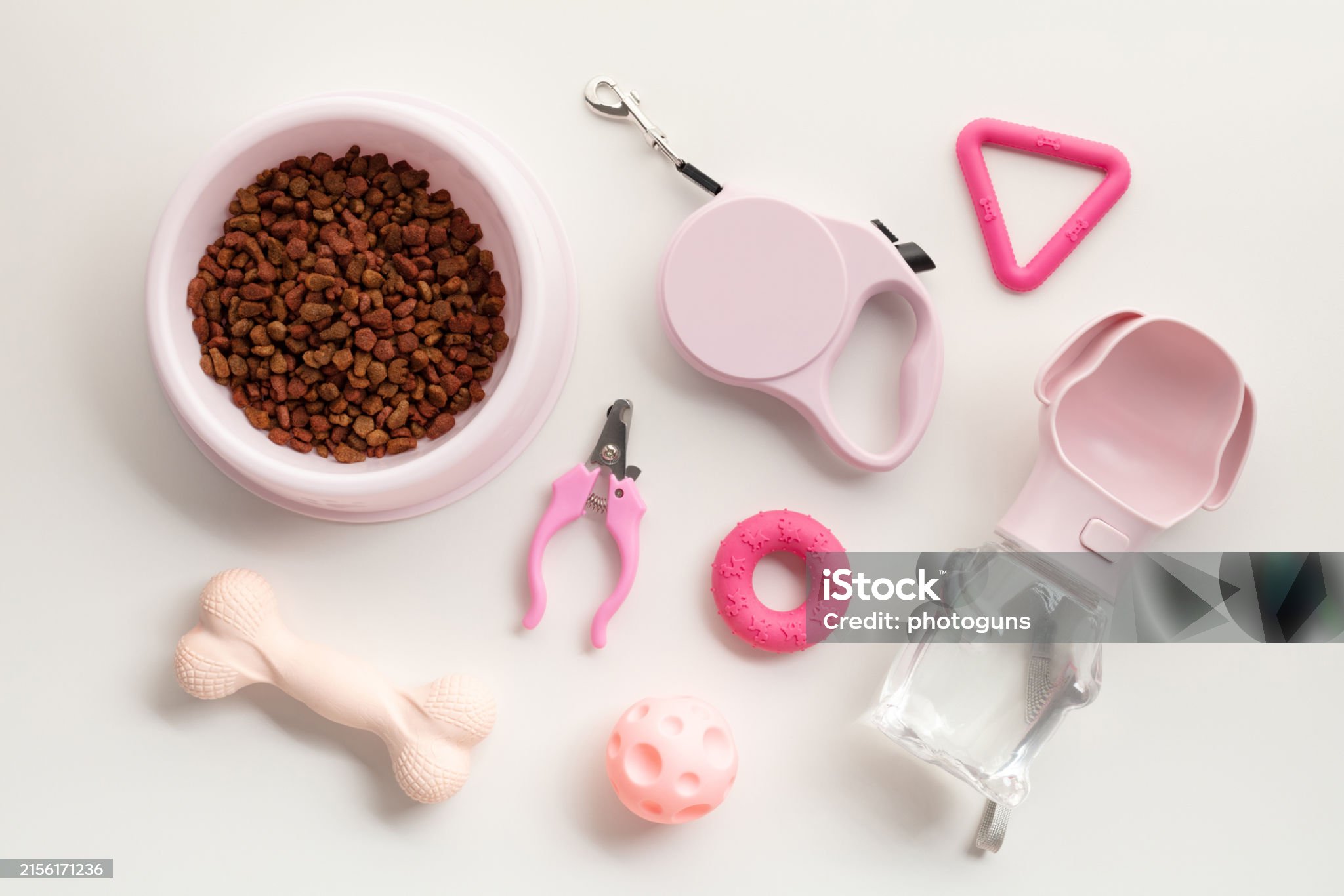 다이소 애견용품