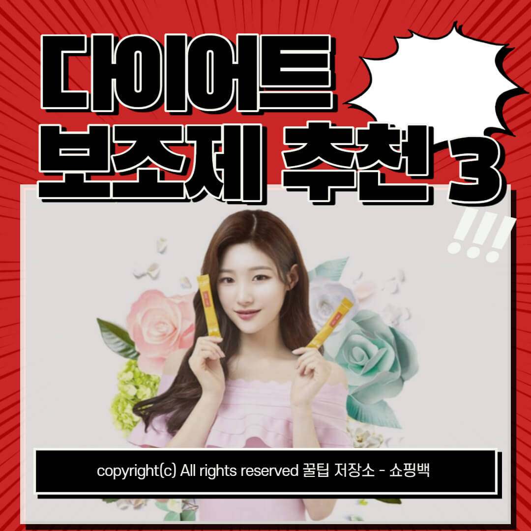 다이어트 보조제 추천 순위 BEST3