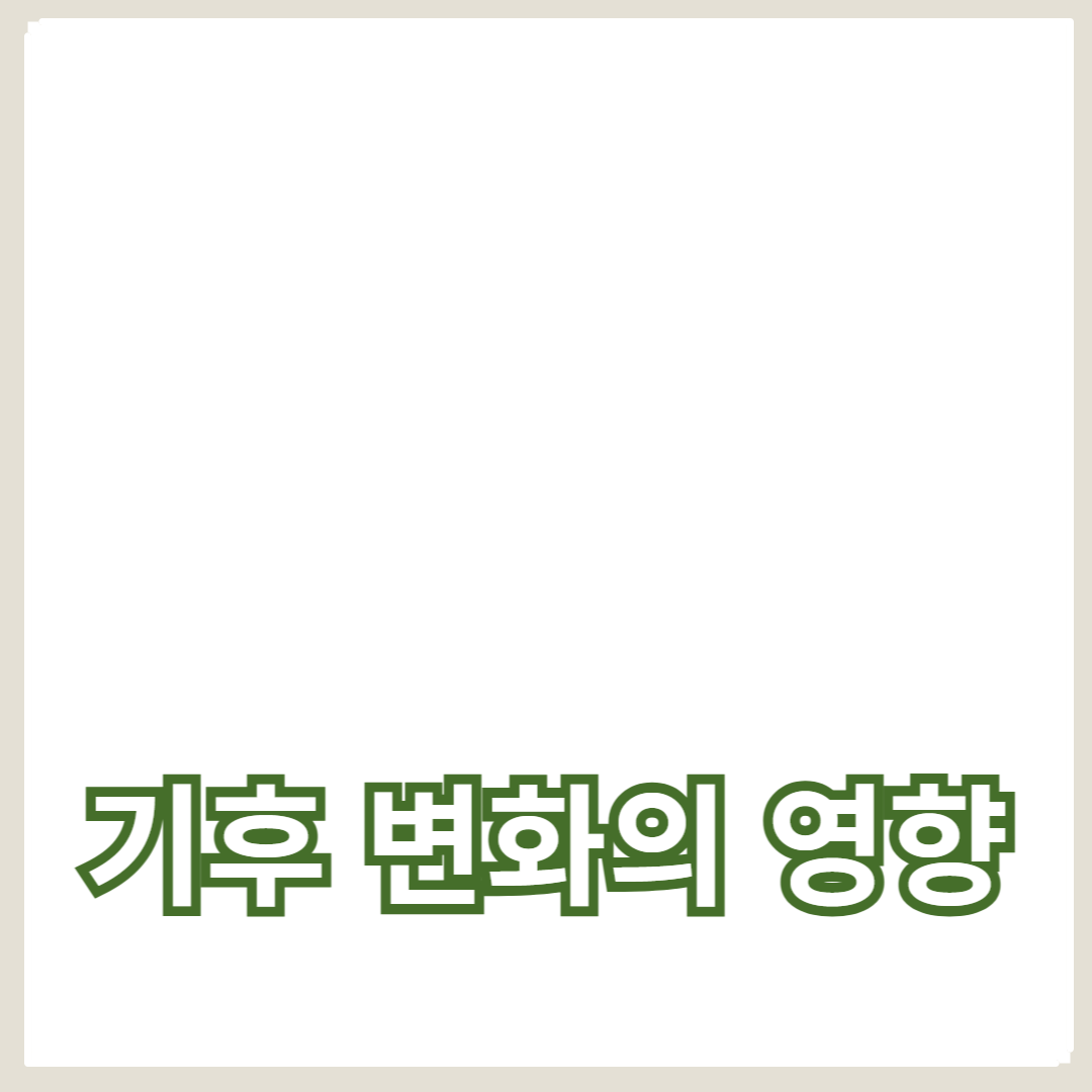 Coral Reefs와 해양 생태계: 기후 변화의 영향