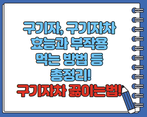 구기자 효능 부작용 구기자차 끓이는 법 총정리(최신)