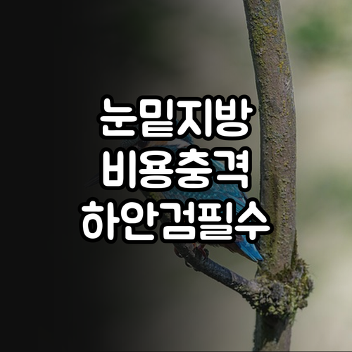 눈밑지방 재배치 비용과 하안검 수술 ..