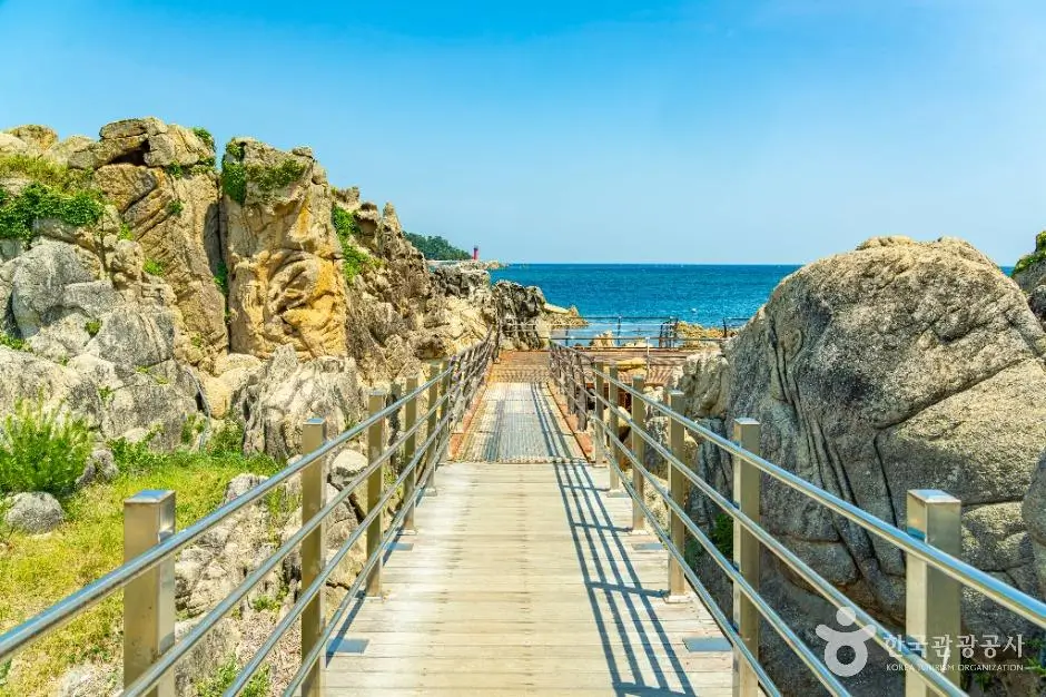 544d4e42-bb18-4359-b504-0520da3e0379