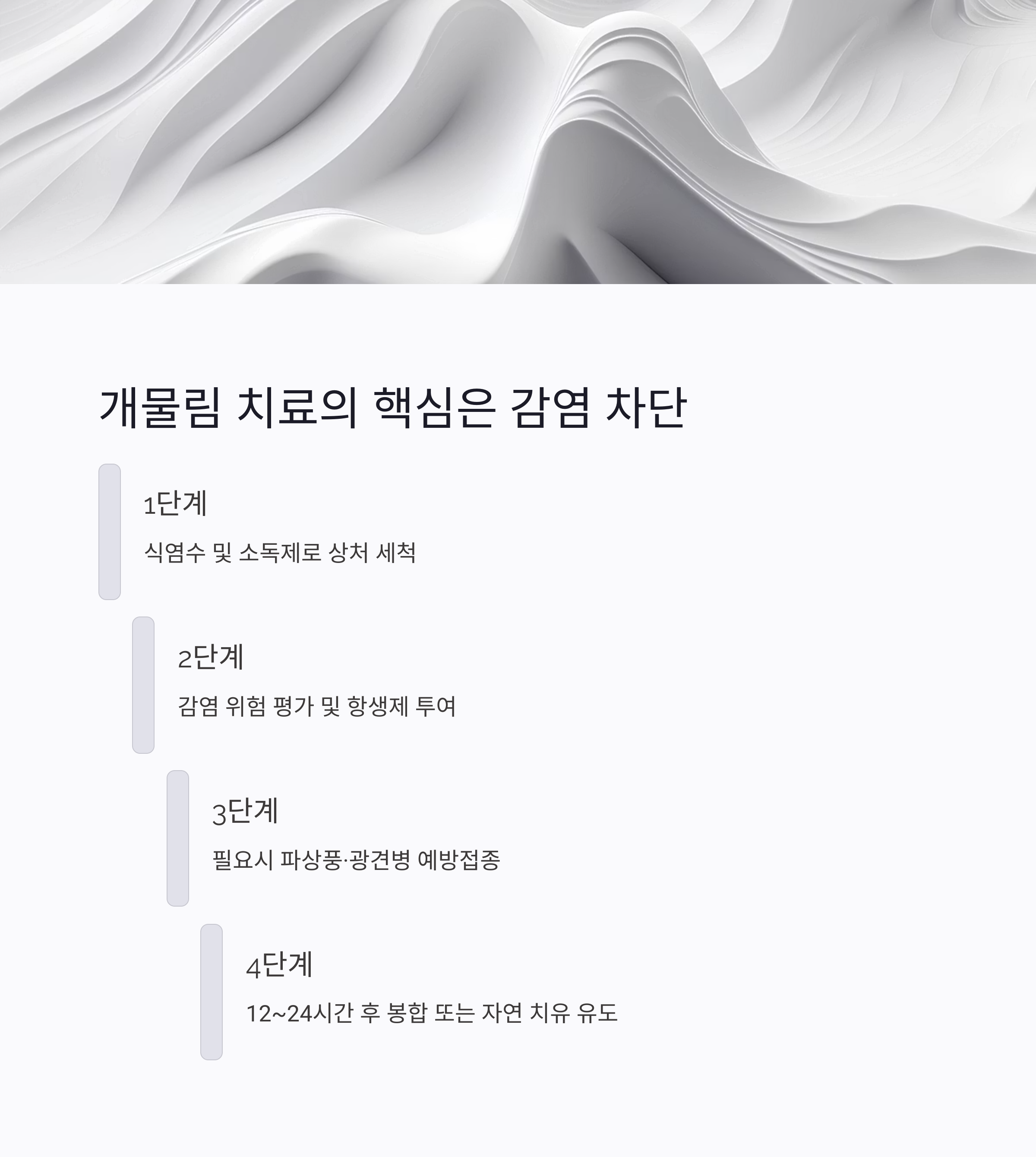 개물림 치료의 핵심은 감염 차단