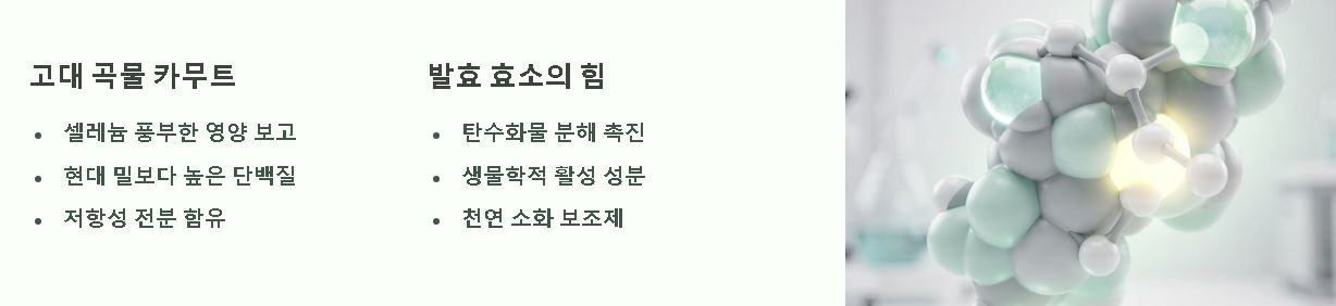 골드 카무트 효소 먹는법