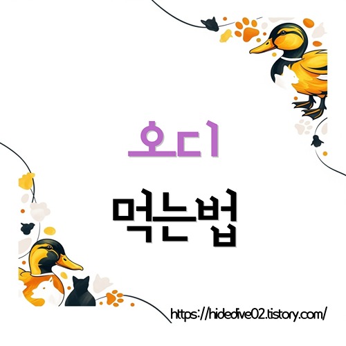 오디 먹는법, 효능 보관까지 알고싶은 황금오리