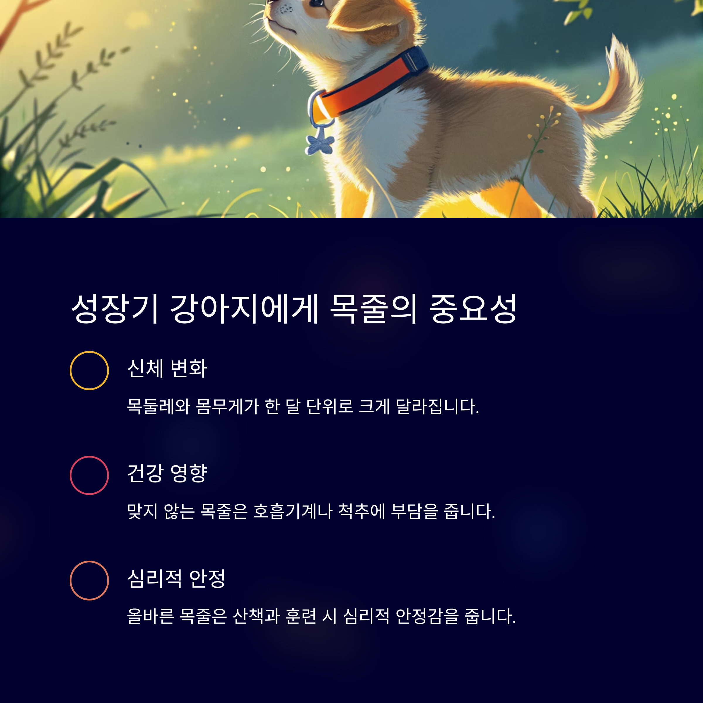 성장기 강아지에게 목줄의 중요성