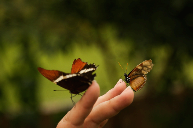 서울에서 느림을 배우는 공간들