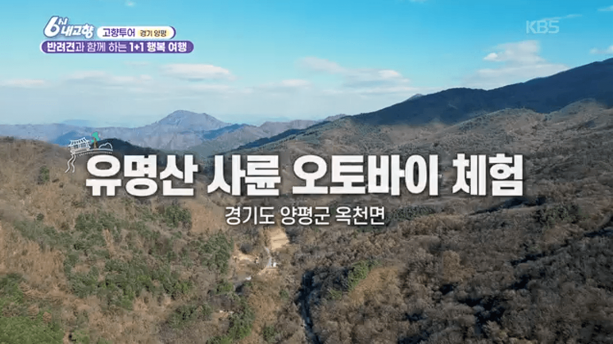 [6시내고향]경기 양평 애견동반 바베큐&middot;정원카페&middot;산악 액티비티 &amp;#39;바베큐레이브 더그림 엑스라이프&amp;#39; 예약 위치 연락처 정보