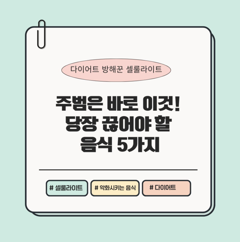 alt=&quot;다이어트 방해꾼 셀룰라이트, 주범은 바로 이것! 당장 끊어야 할 음식 5가지&quot;