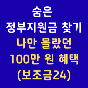 보조금24 숨은정부지원금찾기 정부24보조금 내가받을수있는국가보조금 복지멤버십 맞춤형지원금조회