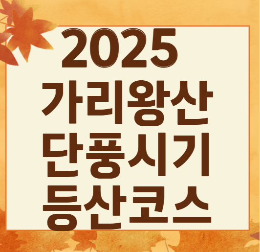 가리왕산 단풍 절정, 이번 주 놓치면 후회! 가을 여행 코스