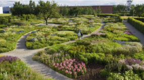 고양국제꽃박람회 입장료