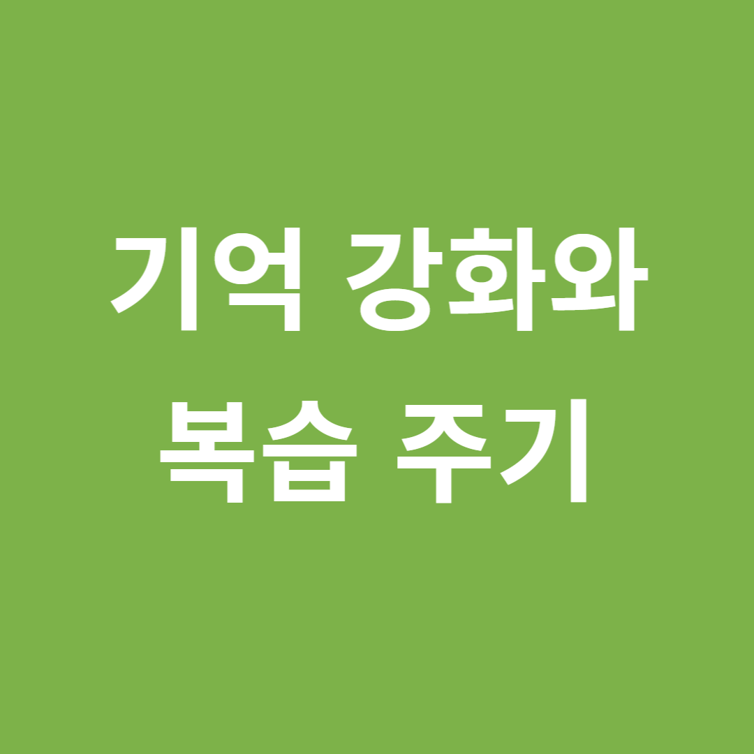 기억 강화를 위한 최적의 복습 주기