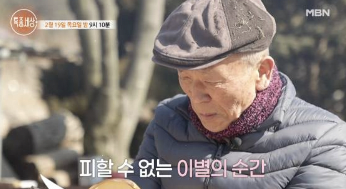 배우 임현식 특종세상