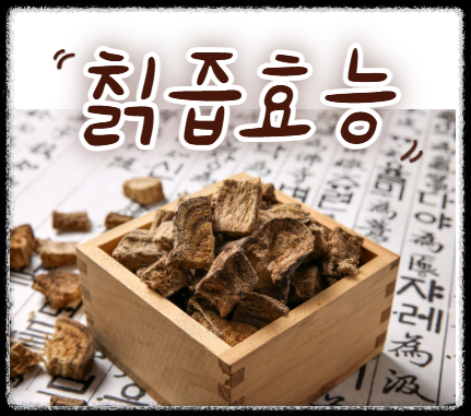 칡즙 효능