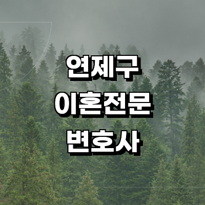 부산 연제구 이혼 변호사