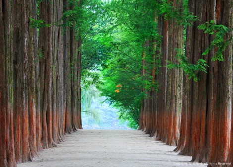 남이섬 호텔 정관루