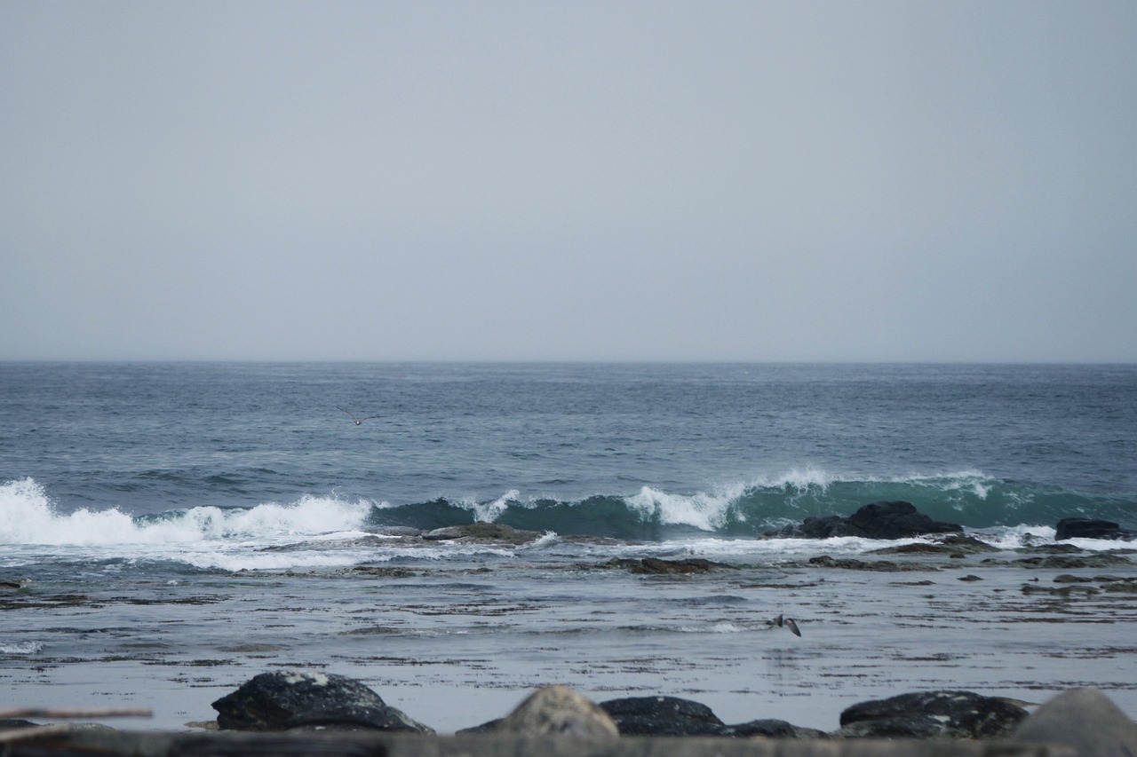 포항 펜션예약&amp;#44; 호미곶&middot;영일대 근처 추천 숙소
