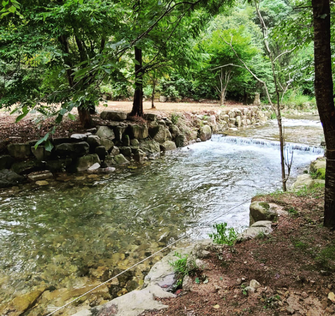 경기-포천-아버지의숲-산정캠프-사진-입니다.