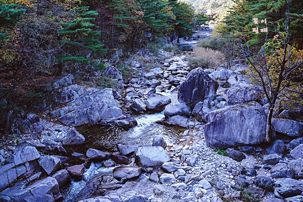 동해 가볼만한곳 베스트10