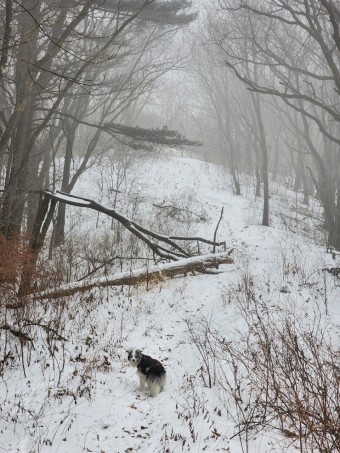겨울 국내여행지 추천 베스트 5 바이크1