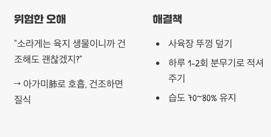 건조한 사막이 된 사육장